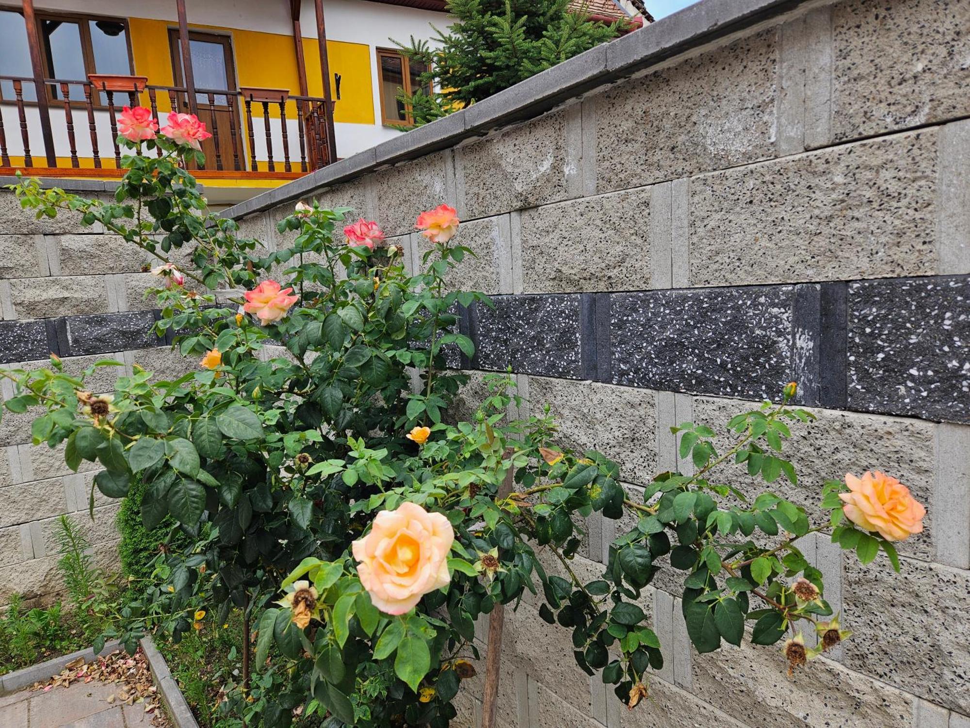 Casa Raduly Sibiu Exterior foto